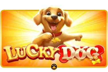bgodgames